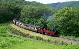 Vale of Rheidol Steam Train